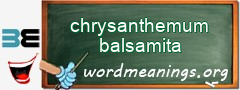 WordMeaning blackboard for chrysanthemum balsamita